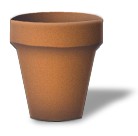basic clay pot