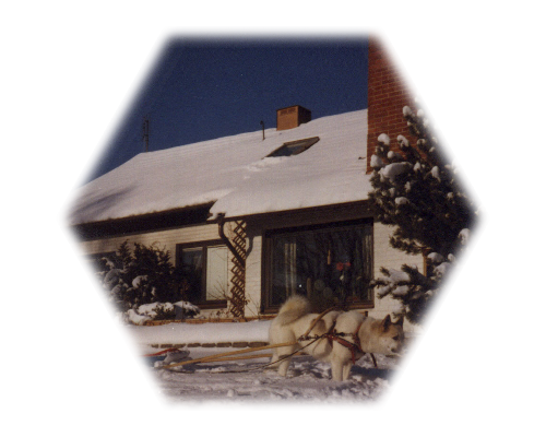 Vr far bodde i Knislinge i mnga r med sin stora familj och husdjur som hunden Avanti