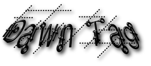 Dawn Tag
