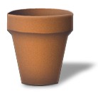 finished pot