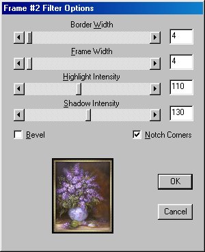 NVR BorderMania Settings