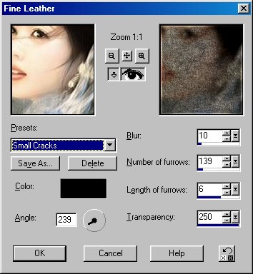 Texture / Fine Leather Settings