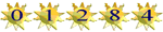 Free Web Site Hit Counter